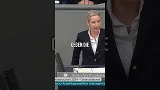 Deutschland Die Kosten der Energiewende sprengen alle Dimensionen [upl. by Kendell]