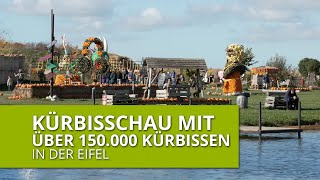 Kürbisschau mit über 150000 Kürbissen [upl. by Ohaus667]