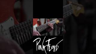 Pink Floyd  Short  Guitar [upl. by Kessia]