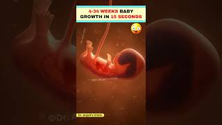 Baby Development from 4 to 34 Weeks – What’s Happening Inside pregnancy baby shorts love [upl. by Tabbi]