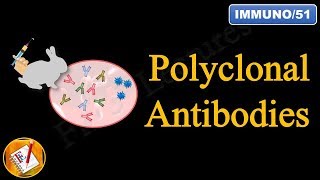 Polyclonal Antibodies FLImmuno51 [upl. by Firman929]