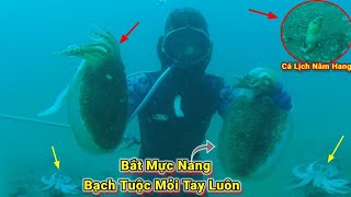 Lặn Biển Cách Cảng LaGi Bình Ty8 Hải Lý Bắt Mực NangBạch Tuộc Mỏi Tay Tập 142 lặnbắthảisản [upl. by Atiuqer18]