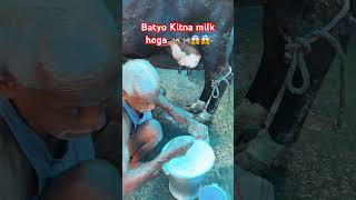 Batyo Kitna milk hoga 🐄🐄😱😱subscribe cow bull viarlshort shorts abs youtubeshorts [upl. by Jecoa]