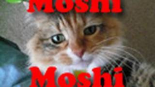 Why Japanese Say Moshi Moshi on the Telephone [upl. by Pappas]