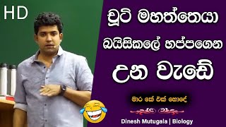 ඉලඇට ඇනිලා පෙනහලුවල 😲  Dinesh Muthugala  dineshmuthugala muthugalasir [upl. by Nevada]