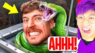 LANKYBOX Reacts To MrBEAST  Face Your Biggest Fear To Win 800000 [upl. by Moonier560]