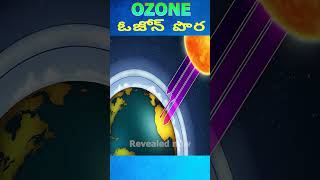 OZONE LAYER ozone shorts short viral shortsfeed shortsvideo facts trending earth india [upl. by Assetan]