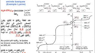 Lysine acide aminé Ionisation تأين و معايرة الحمض الأميني الليزين [upl. by Tnecnev]