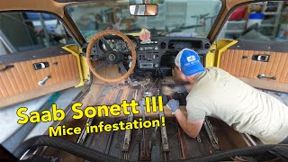 DeMousing My Neglected Saab Sonett III [upl. by Lorri]