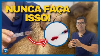 O SEGREDO de Como Aplicar Vacina no Cachorro e no Gato Como Aplicar Injeção no Cachorro e no Gato [upl. by Aaberg]