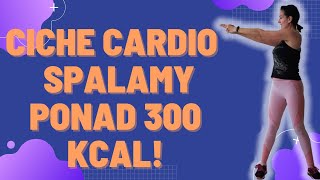 Ciche cardio dla początkujących na stojąco Bez maty bez skakania bez tupania Palimy 300 kcal [upl. by Dorca515]