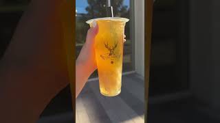 GIVEAWAY Have you been to this famous Boba shop We finally have arizona food shorts [upl. by Sanderson]