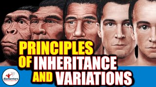 Principles Of Inheritance amp Variations l Lecture 16 amp 17 l Biology l NEET [upl. by Meridith]