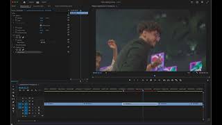 Posterize time In Premiere pro [upl. by Starbuck720]