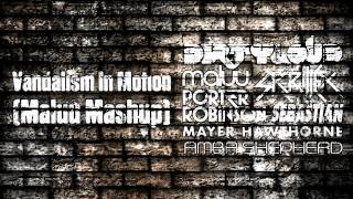 Dirtyloud vs Skrillex  Vandalism In Motion Maluu Mashup [upl. by Peterman]