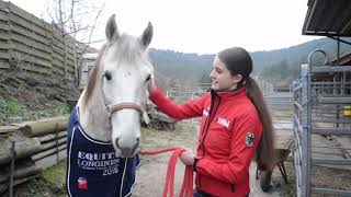 RHEINPFALZSportler 2018 in Pirmasens Franziska Engel [upl. by Kerk756]