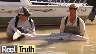 Robsons Extreme Fishing Challenge  Canada  S01 E04  Reel Truth Documentaries [upl. by Lichtenfeld]