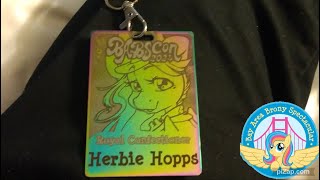 Why I Contributed 3000 to BABSCon [upl. by Ahswat978]