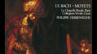 J S Bach – Motets BWV 225230 amp 118 – Ph Herreweghe [upl. by Rodge]