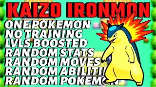 THIS CAN WIN  HARDEST POKEMON CHALLENGE  KAIZO IRONMON [upl. by Anolla]