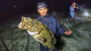 Nyuluh waktu air laut surut kering malam hari dan menombak ikan Grouper raksasa [upl. by Adia]