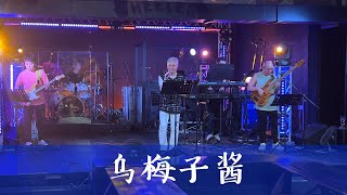 李榮浩 《乌梅子酱》Cover 翻唱 [upl. by Akemeuwkuhc]