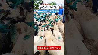 Retteri Market 2024  14062024 BAKRID 2024  2024 goat sheep animals india shorts reels [upl. by Martino]