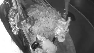 Kids caught STEALING CANDY on CCTV at Halloween [upl. by Bozovich]