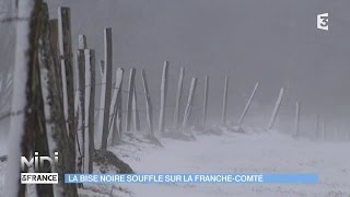 VU D’ICI  La bise noire souffle sur la FrancheComté [upl. by Sessilu]