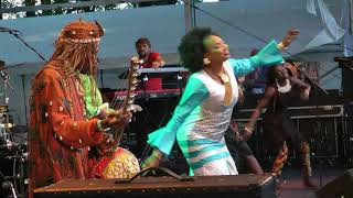 Oumou Sangaré  Djoukourou  LIVE at Afrikafestival Hertme 2017 [upl. by Cruce]