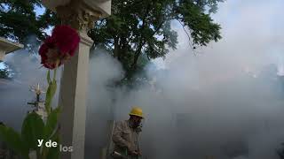 Trabajadores del Programa Vectores realizan acciones de Nebulización en Panteones [upl. by Morley399]