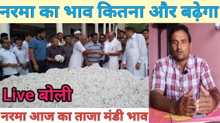 नरमा आज का भाव  kapas ka bhav today  narma ka bhav today  cotton price today  Mandi Bhav [upl. by Neetsuj]