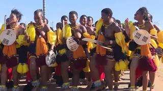 Maidens From The Umbutfo Swaziland Defence Force  The Umhlanga Reed Dance [upl. by Cosetta268]