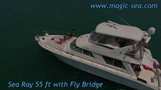 Sea Ray 55 Cancun rent a boat [upl. by Sheff604]