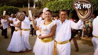 El Festival del Porro una fiesta del caribe colombiano en San Pelayo [upl. by Carce]