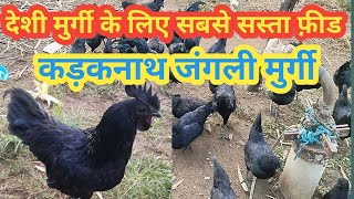 देशी कड़कनाथ मुर्गी के लिए सबसे सस्ता फीड घर पर कैसे बनाएdeshi kadaknath murgi nechural forming vs [upl. by Lalitta388]