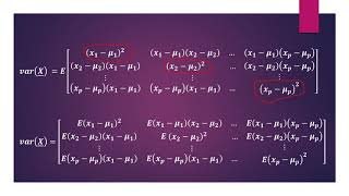 Multivariate Analysis  Multivariate Normal Distribution part 1 [upl. by Bivins]