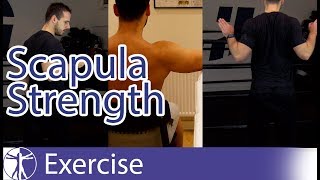 Scapula Strengthening Exercises  Early Shoulder Rehab [upl. by Adara115]