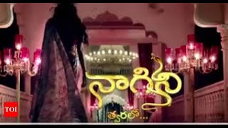 Naagini serial title song in telugu [upl. by Merkley]