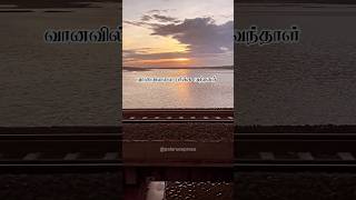 Thaniye Thananthaniye Song Lyrics palaruexpress lovesong shortvideo tamillovesong [upl. by Nosnah]