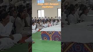 Mega mini Aanapan meditation aanapan meditation vipassana sngoenka shortvideo [upl. by Julina514]