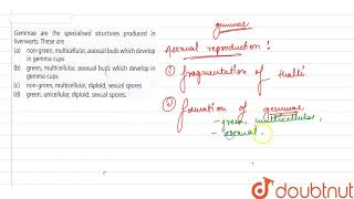 Gemmae are the specialised structures produced in liverworts These are [upl. by Derward]