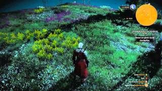 The Witcher 3 Wild Hunt  Master Armorers Quest [upl. by Brittain742]