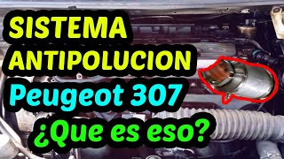 Que es el SISTEMA ANTIPOLUCION Peugeot 307  Lo que Necesitas Saber [upl. by Katharina]