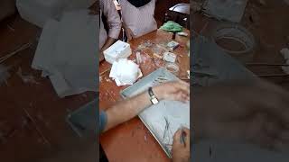 Cutting Grasshopper By Hod Sir In Lab Extracting Testis Of Grasshopper [upl. by Danny]