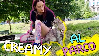 Porto CREAMY al PARCO con il GUINZAGLIO 🐱 la sua REAZIONE È BELLISSIMA 😍 [upl. by Cohdwell]