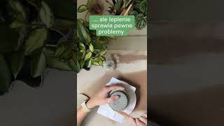 Lepienie osłonki na doniczkę Step by step 😱 pottery ceramika clay forplants [upl. by Dlonyer66]