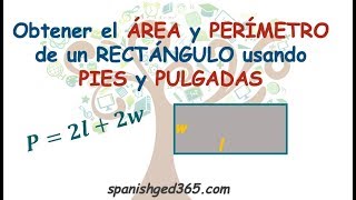 Pies y pulgadas apicadas al área y perímetro de un rectángulo [upl. by Neiv]