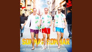 Sommar sommar sol [upl. by Ahsemed666]