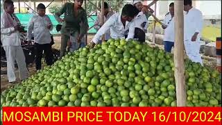 MOSAMBI PRICE TODAY मौसंबि मार्केट भाव आजके जालना मार्केटindianfruitsmarketprice6363 [upl. by Asilram38]